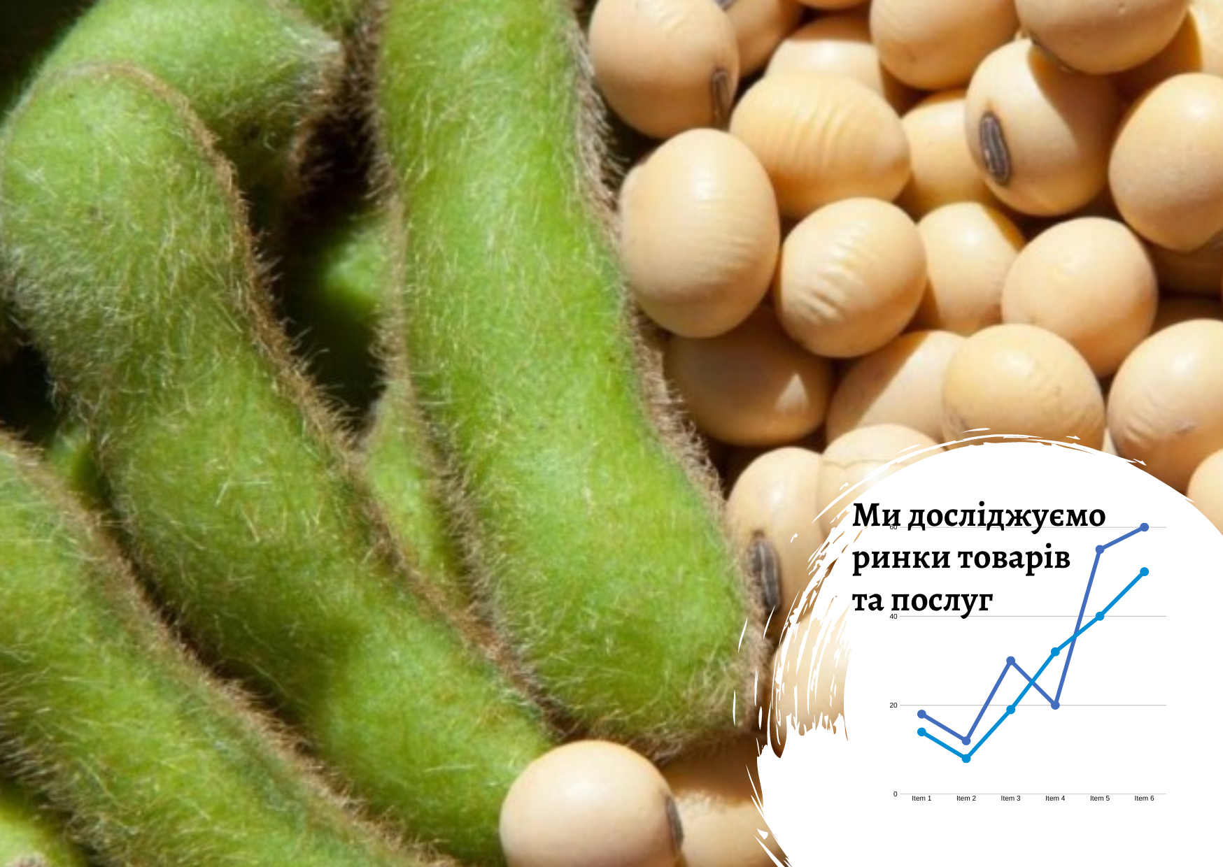 Ринок сої та продуктів переробки в Україні: комплексне маркетингове дослідження